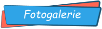 Fotogalerie